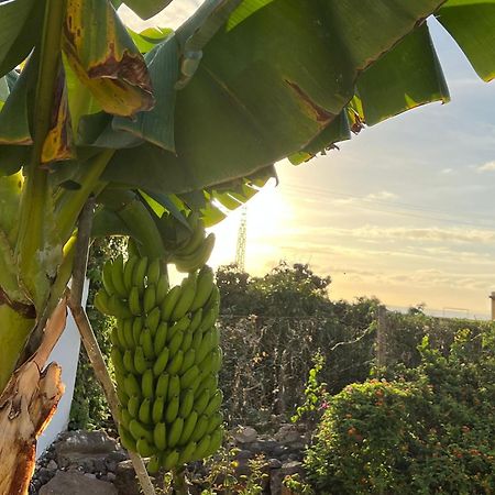 Un Paraiso En Tenerife Villa Punta Del Hidalgo Esterno foto