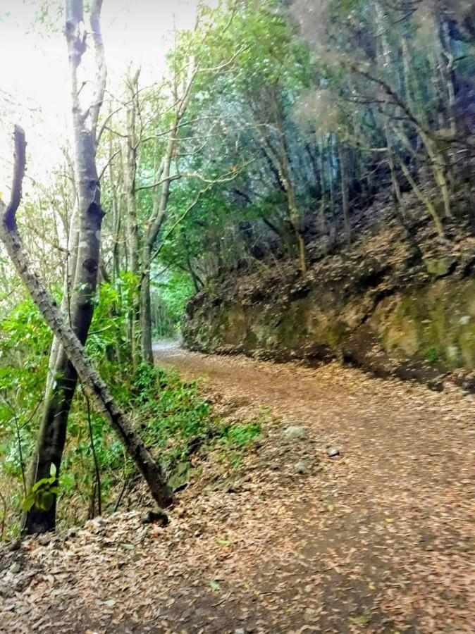 Un Paraiso En Tenerife Villa Punta Del Hidalgo Esterno foto