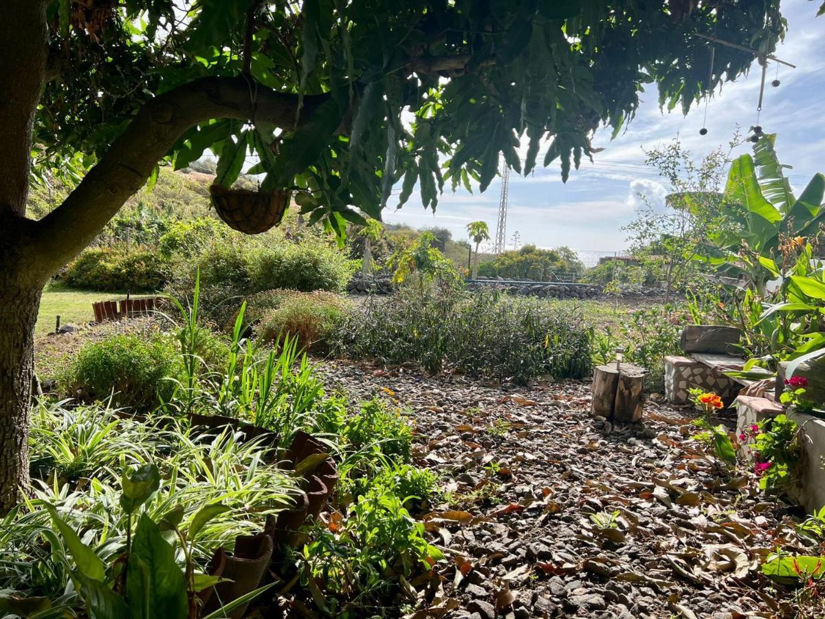 Un Paraiso En Tenerife Villa Punta Del Hidalgo Esterno foto